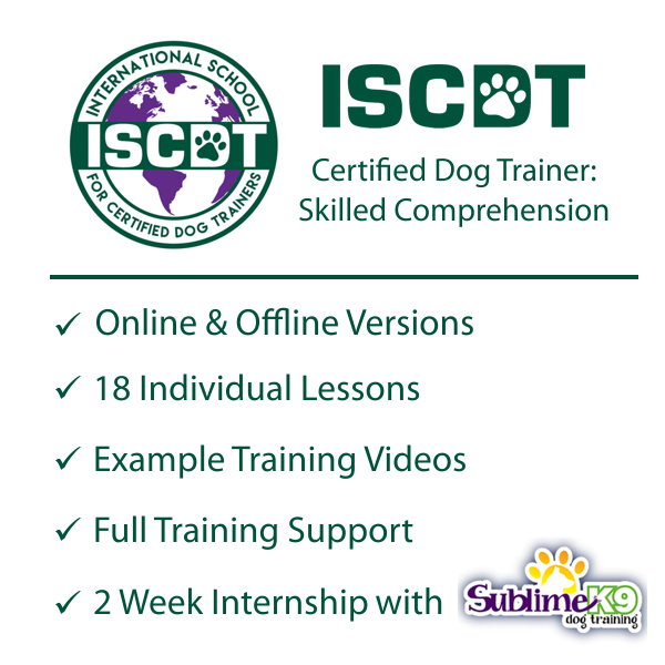 online dog training certification course
