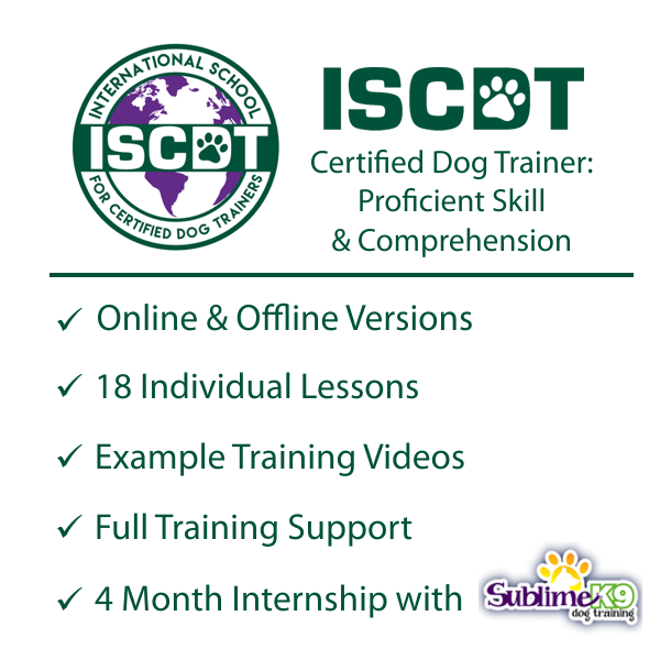 online dog training certification course