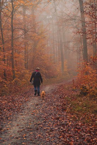 How to Deepen The Bond With Your Dog