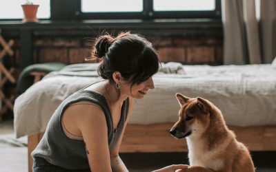 The Human Side of Dog Training