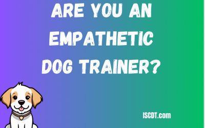 Are You an Empathetic Dog Trainer?